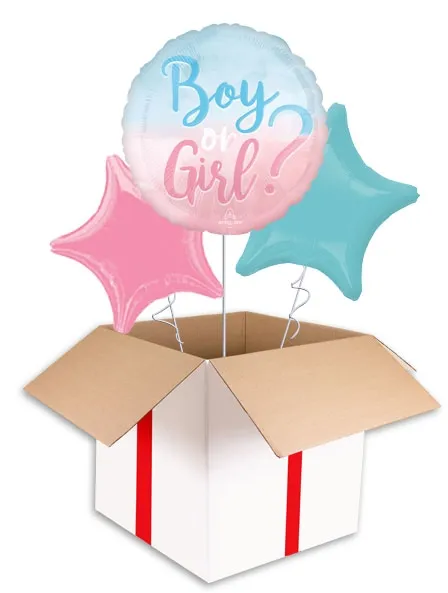 Boy or Girl Balloon