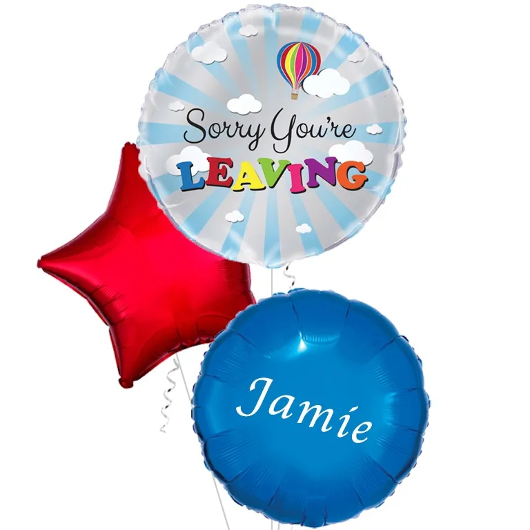 Sorry You Are Leaving Balloon