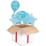 Baby Boy Elephant 

